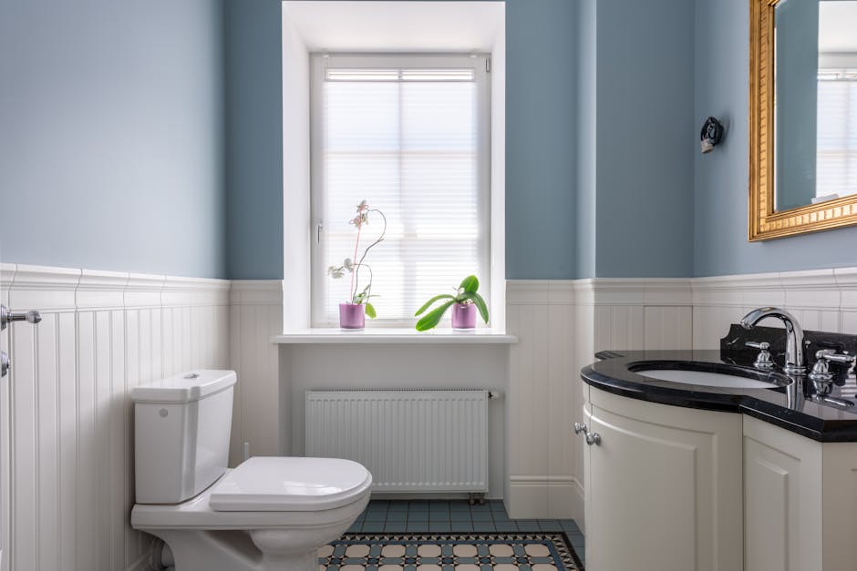 Toilet Repair & Installation in Buckeye, AZ - The Buckeye Plumber
